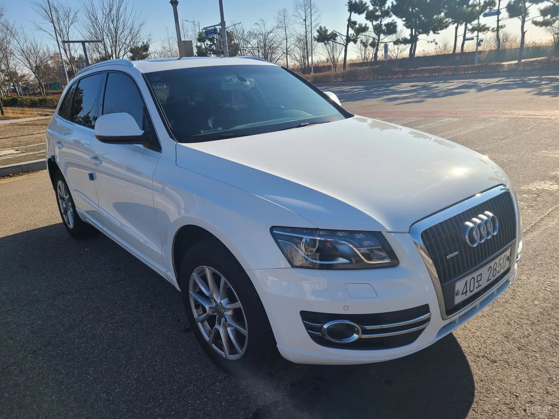 Q5