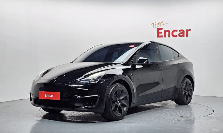 Model Y