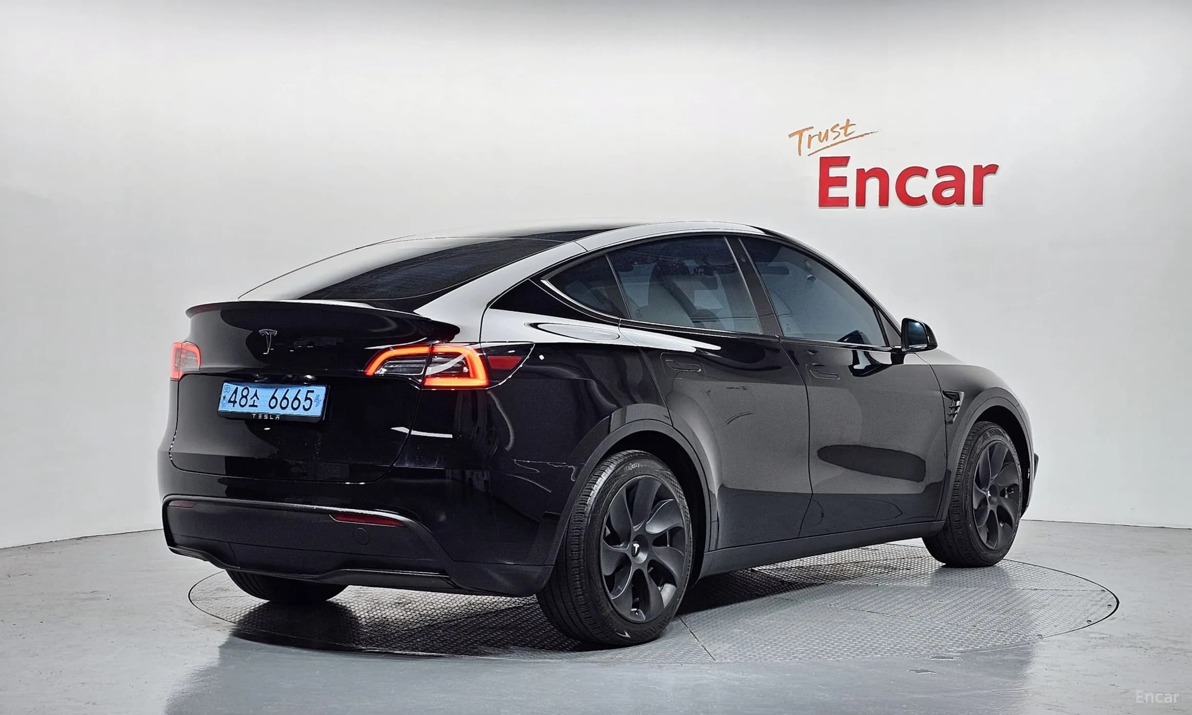 Model Y