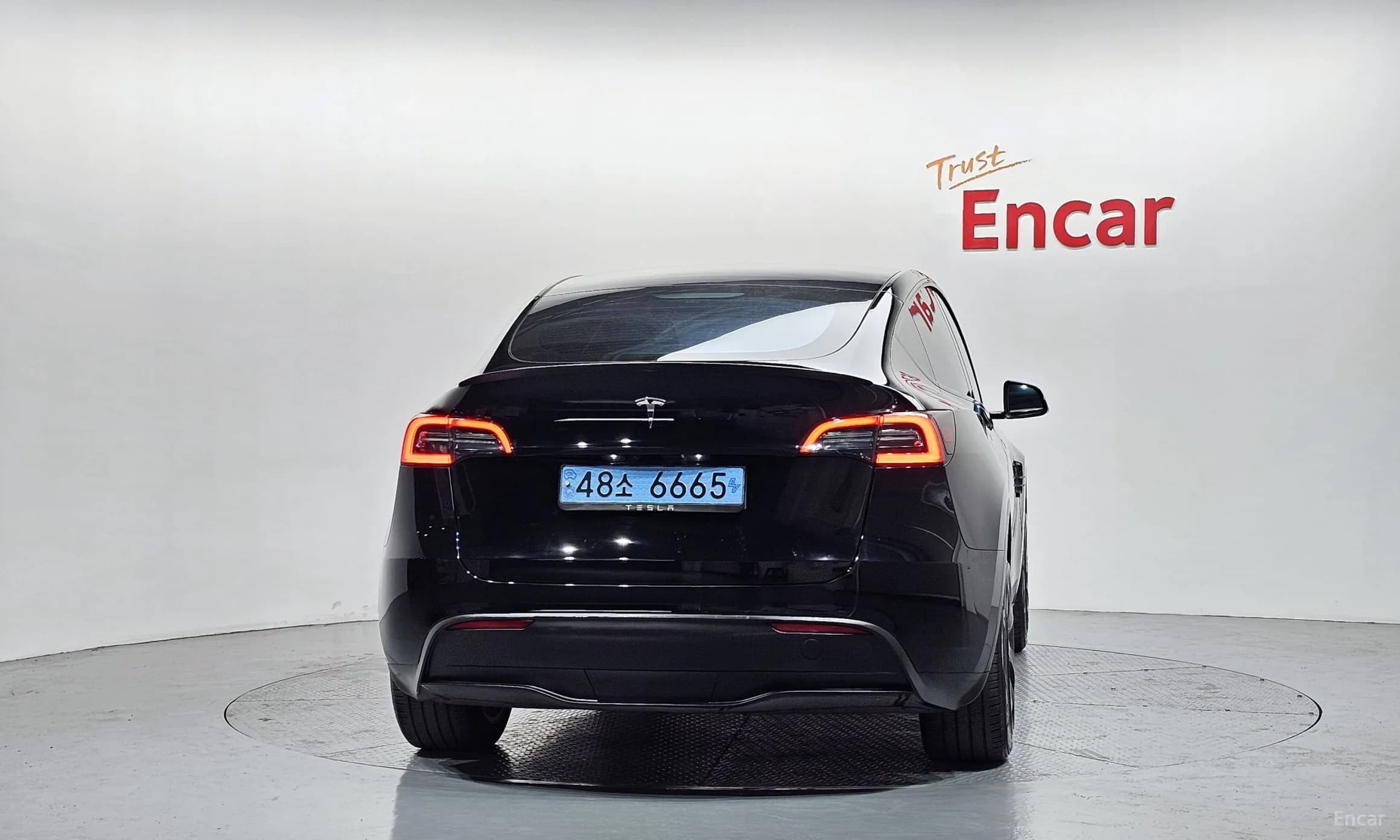 Model Y