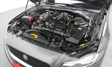 XF (x260)