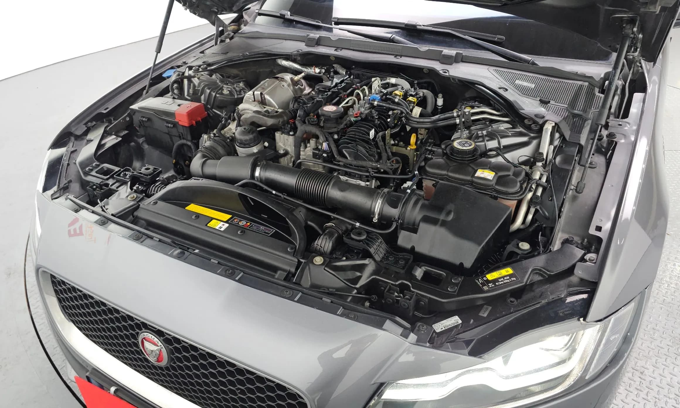 XF (x260)