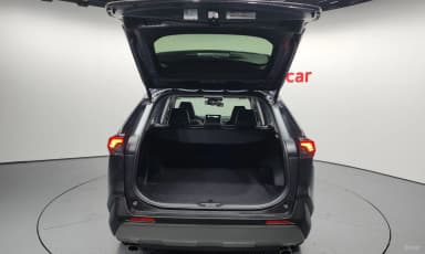 RAV4 5th Generation