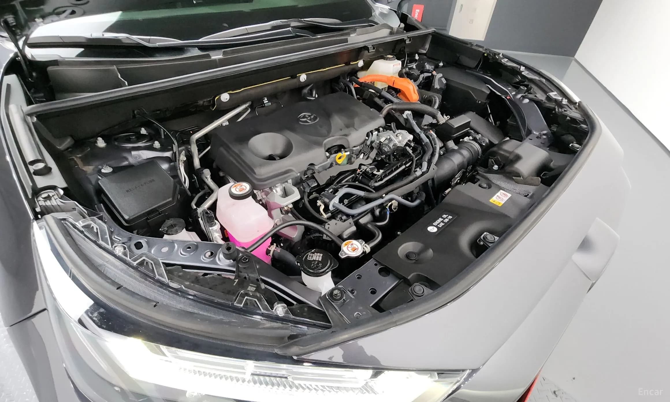 RAV4 5th Generation