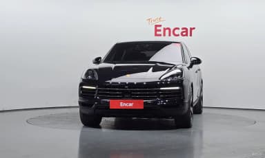Cayenne (PO536)