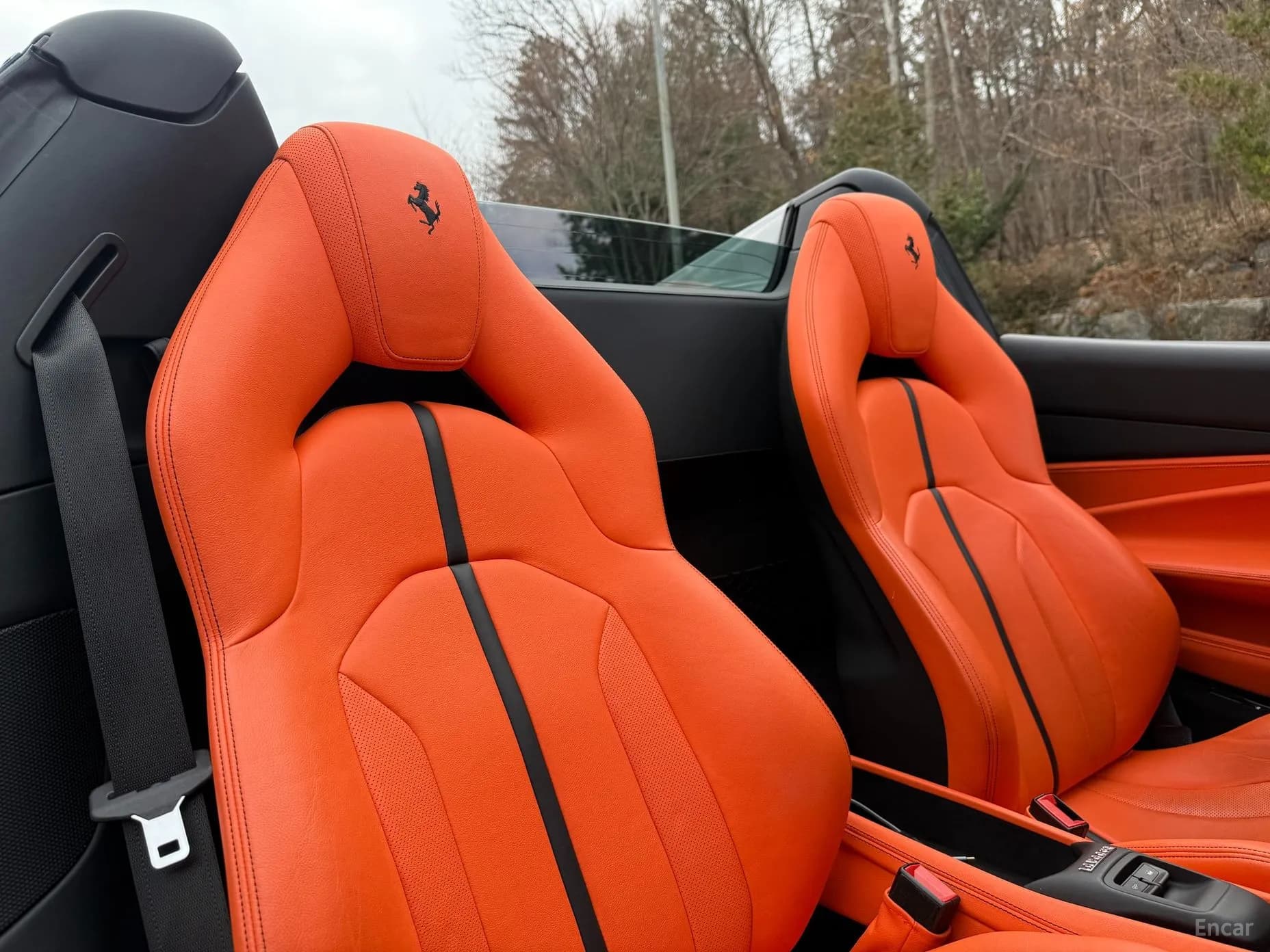 F8 Spider