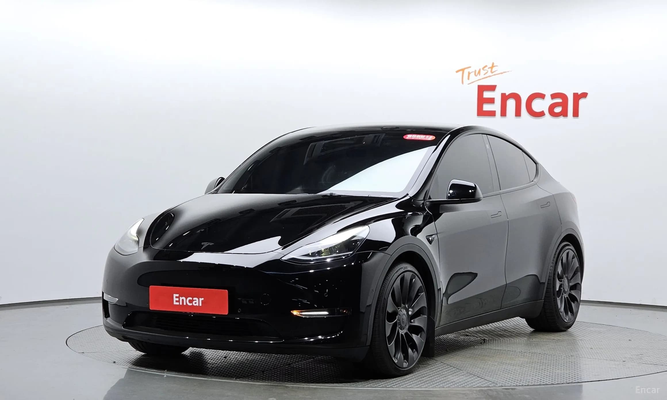 Model Y