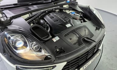 Macan