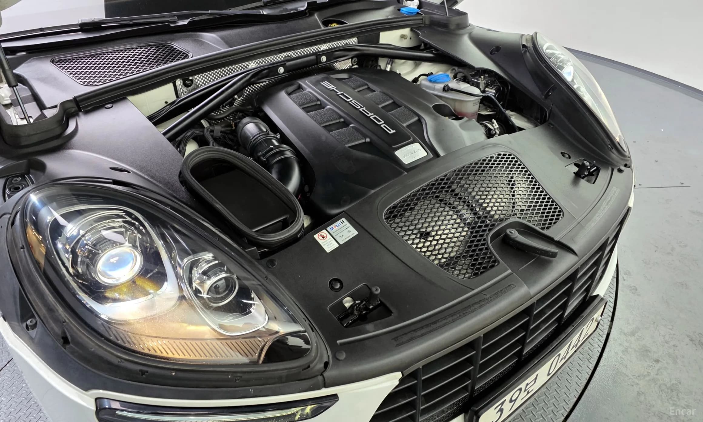 Macan