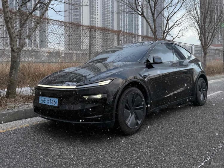 Model Y