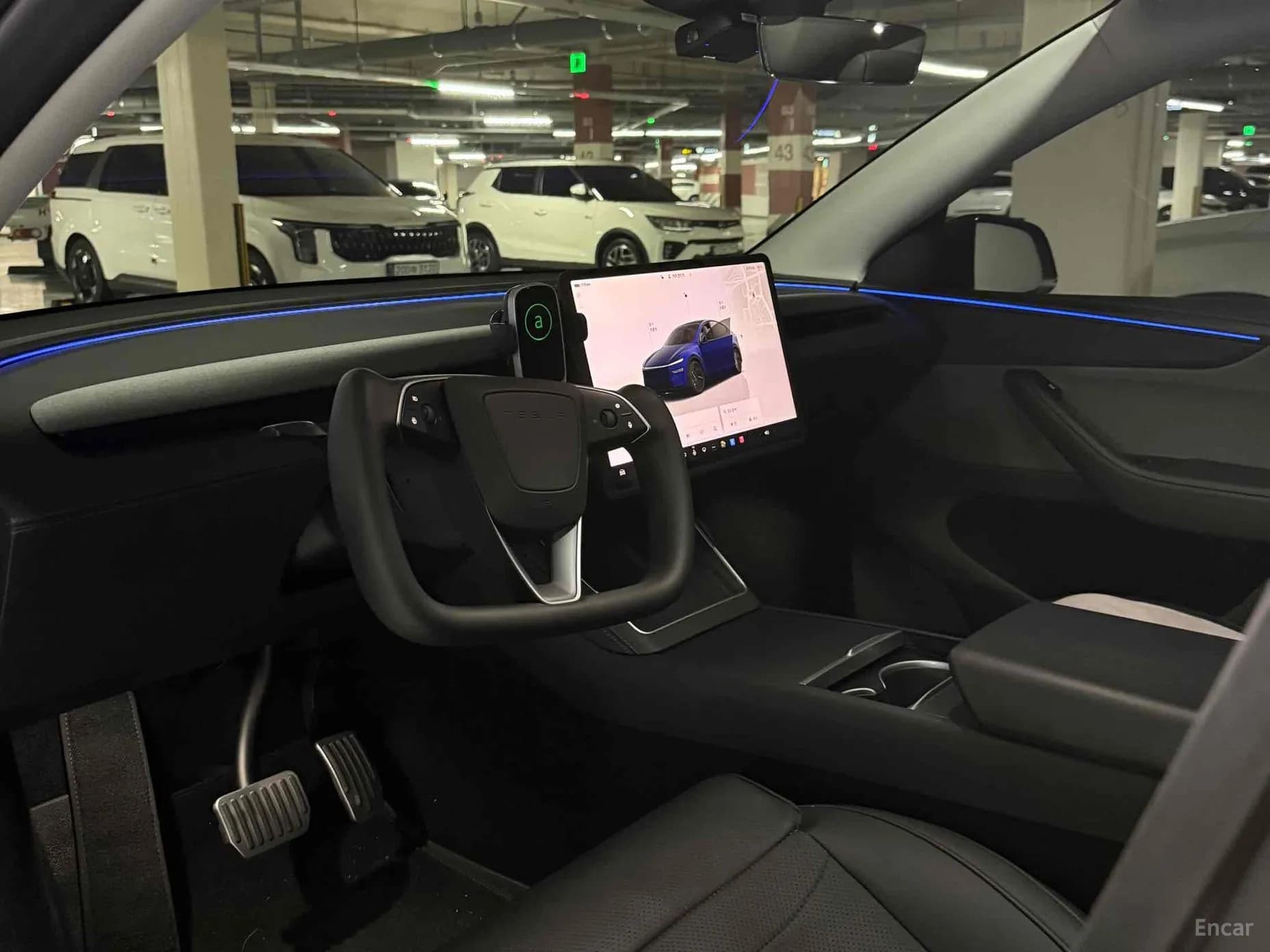 Model Y
