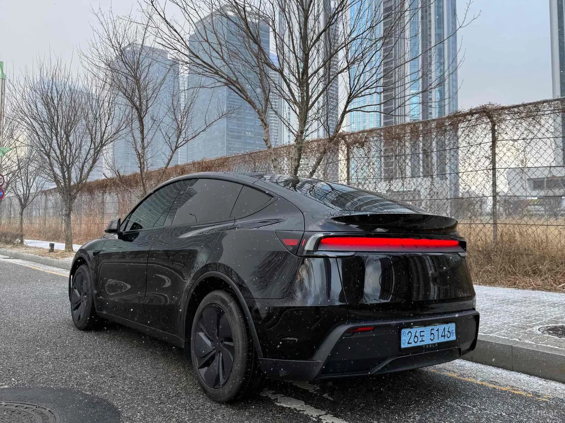 Model Y