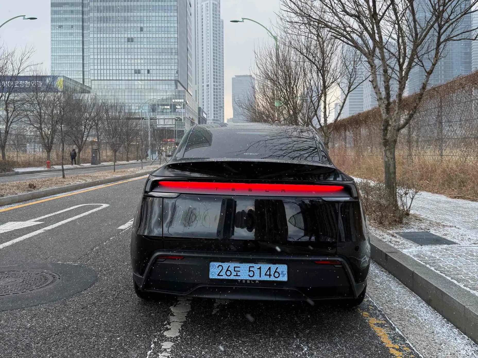 Model Y