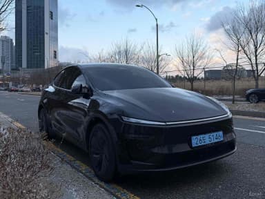 Model Y