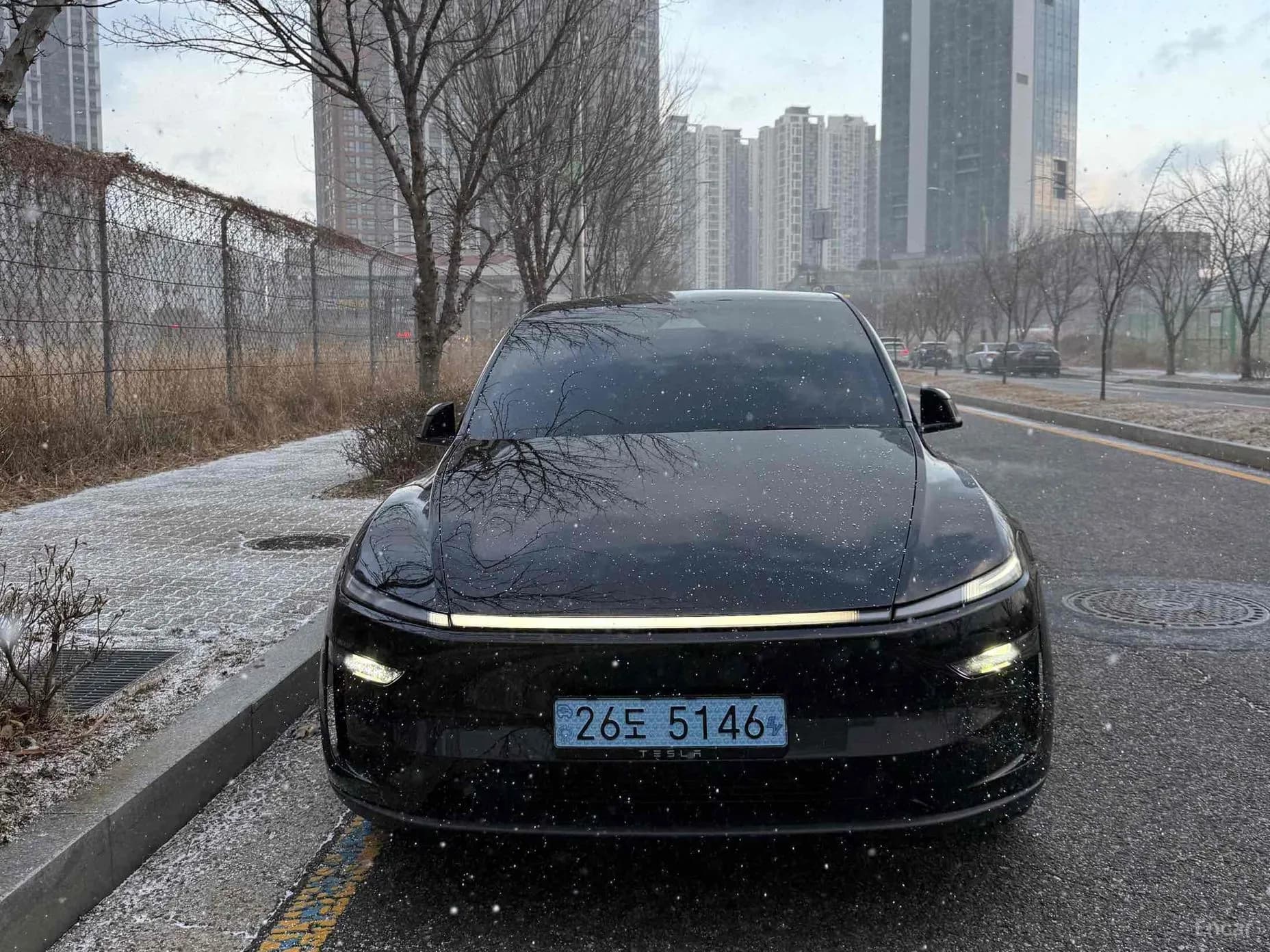 Model Y