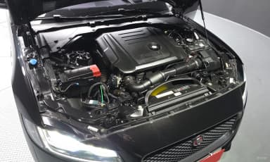 XF (x260)