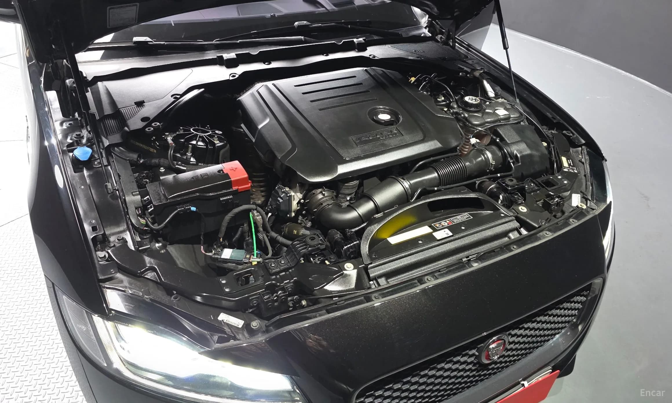 XF (x260)