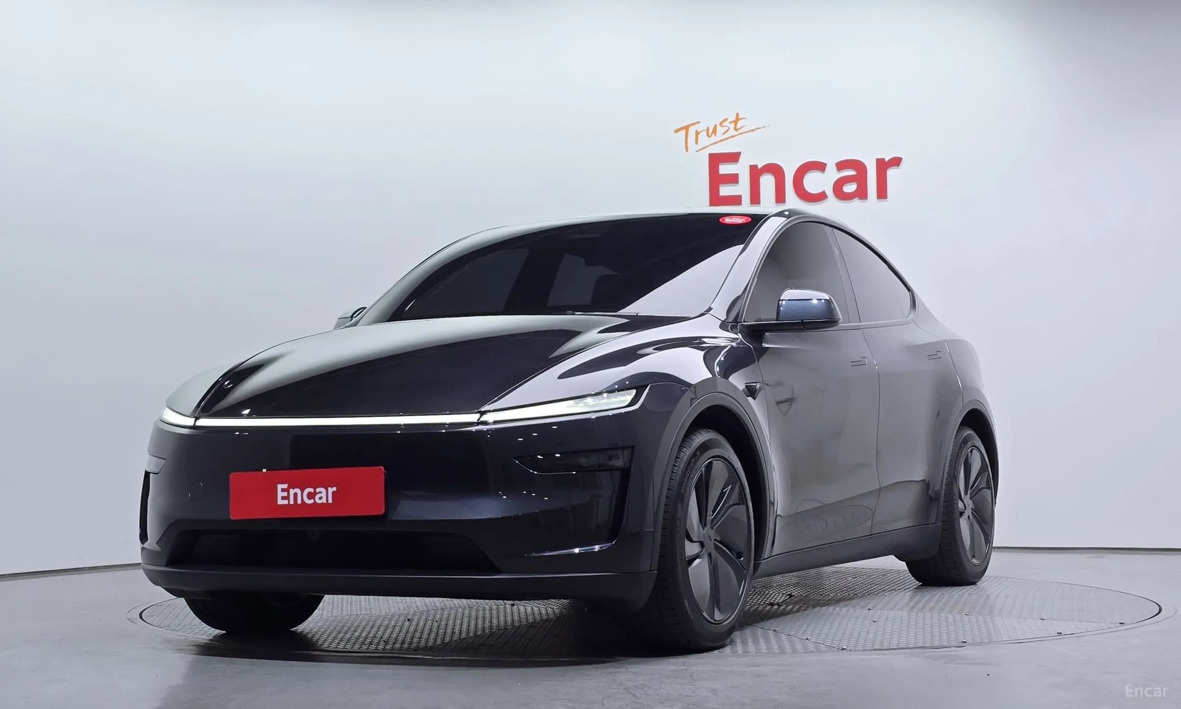 Model Y