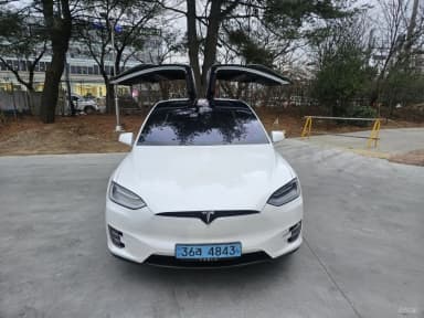 Model X