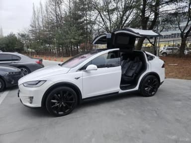 Model X
