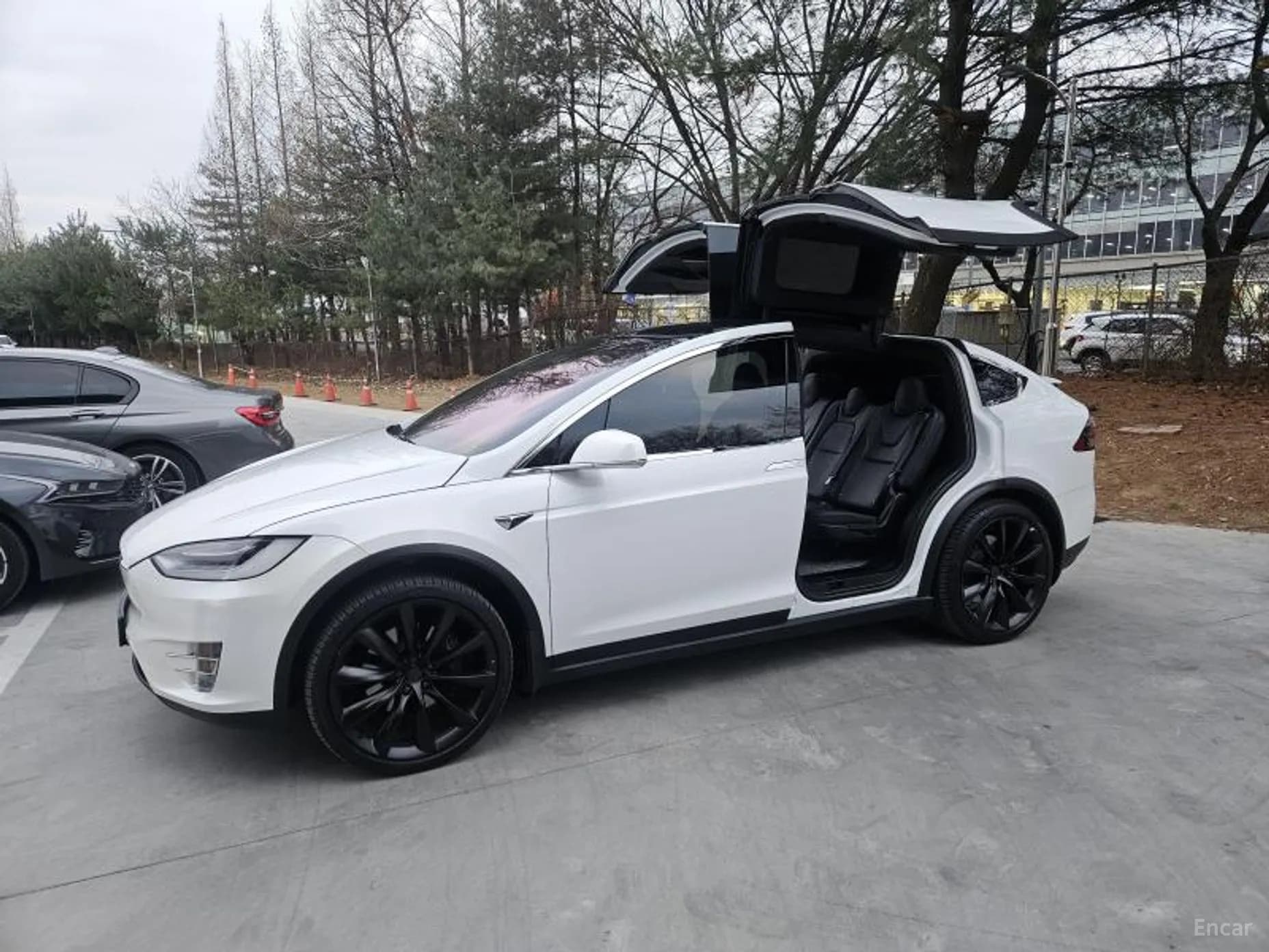 Model X