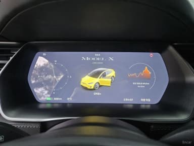 Model X