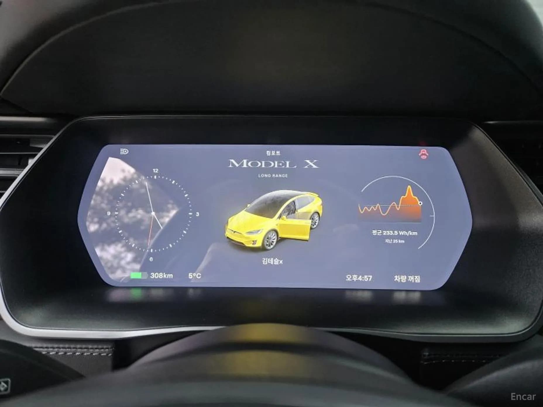 Model X