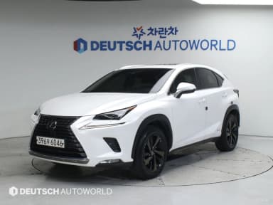 NX300h