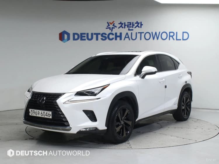 NX300h