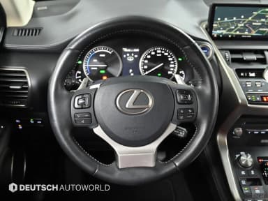 NX300h