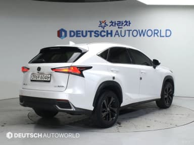 NX300h