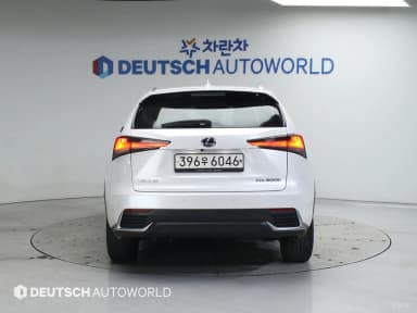 NX300h