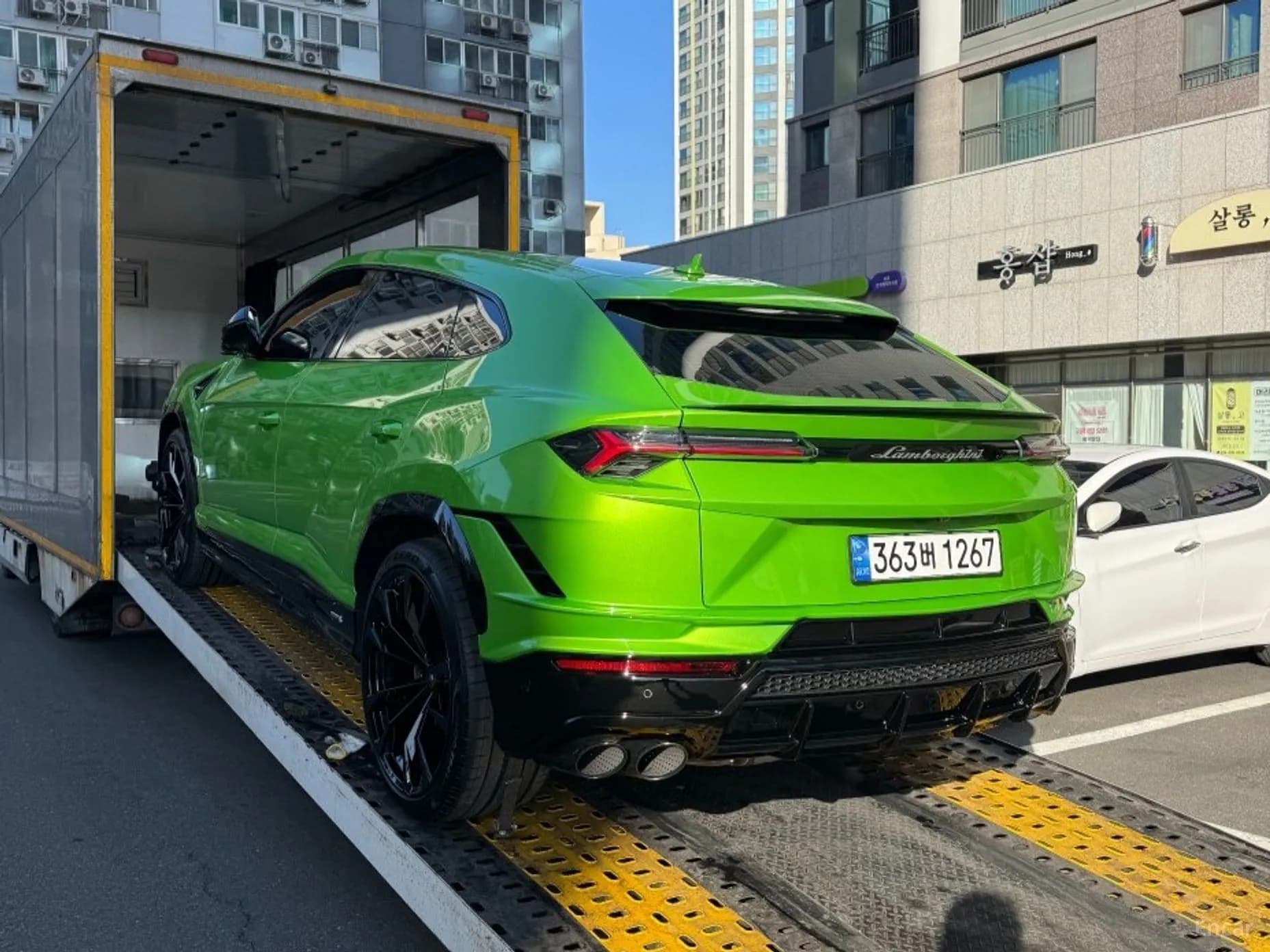 Urus
