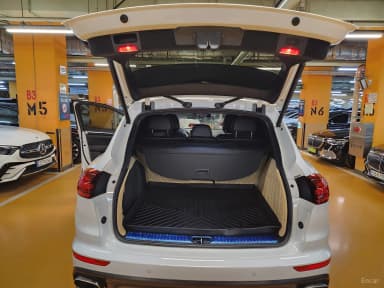 New Cayenne