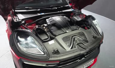 Macan