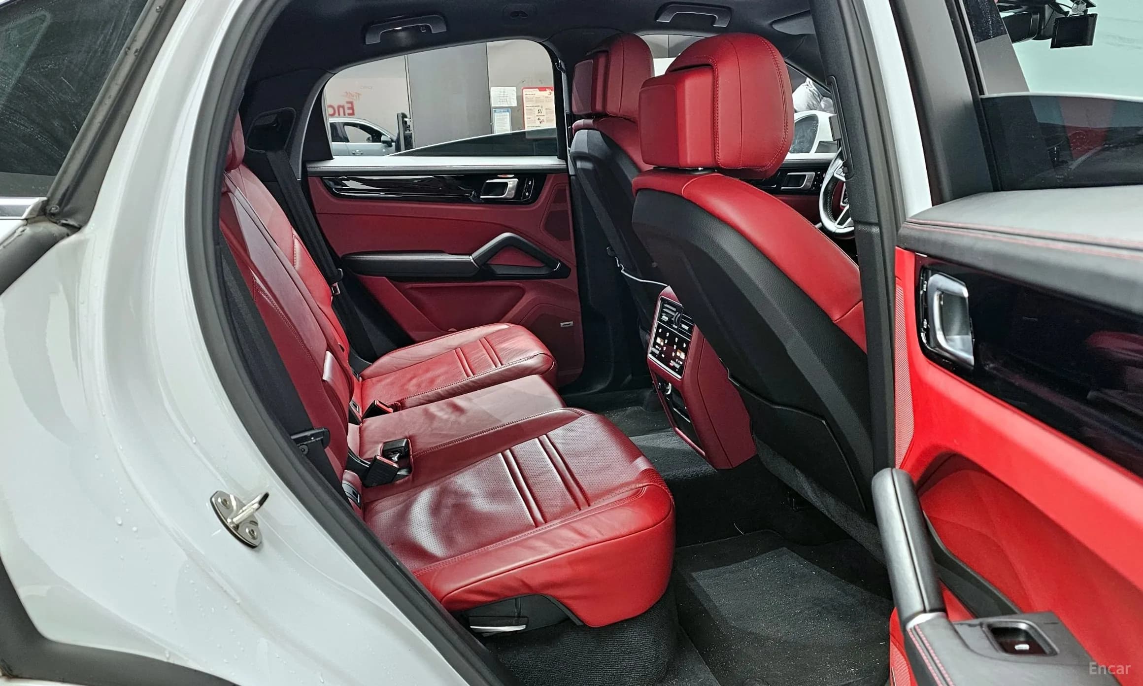 Cayenne (PO536)