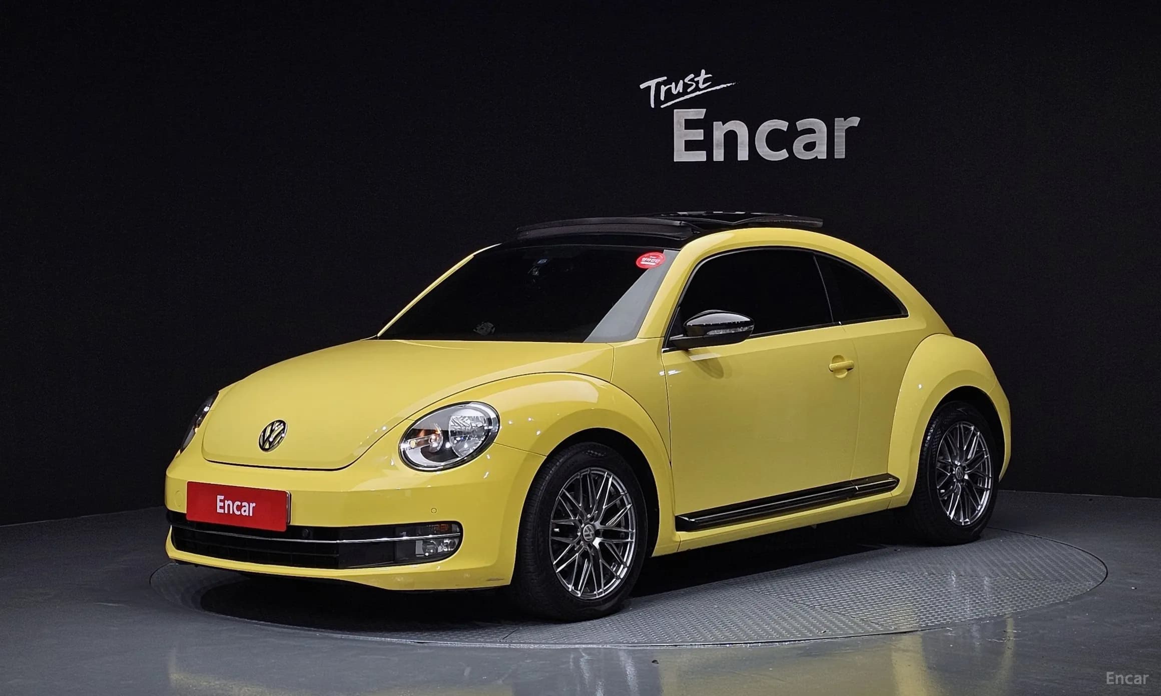 The Beetle