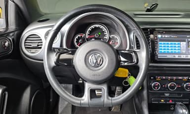 The Beetle