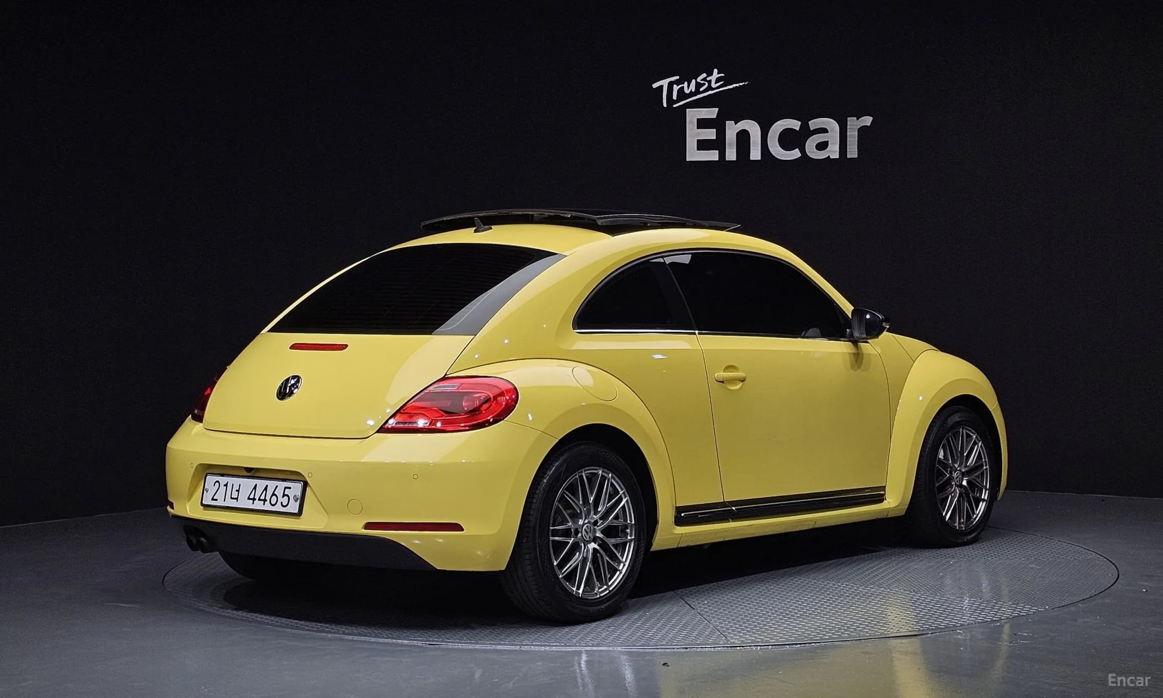 The Beetle