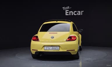 The Beetle