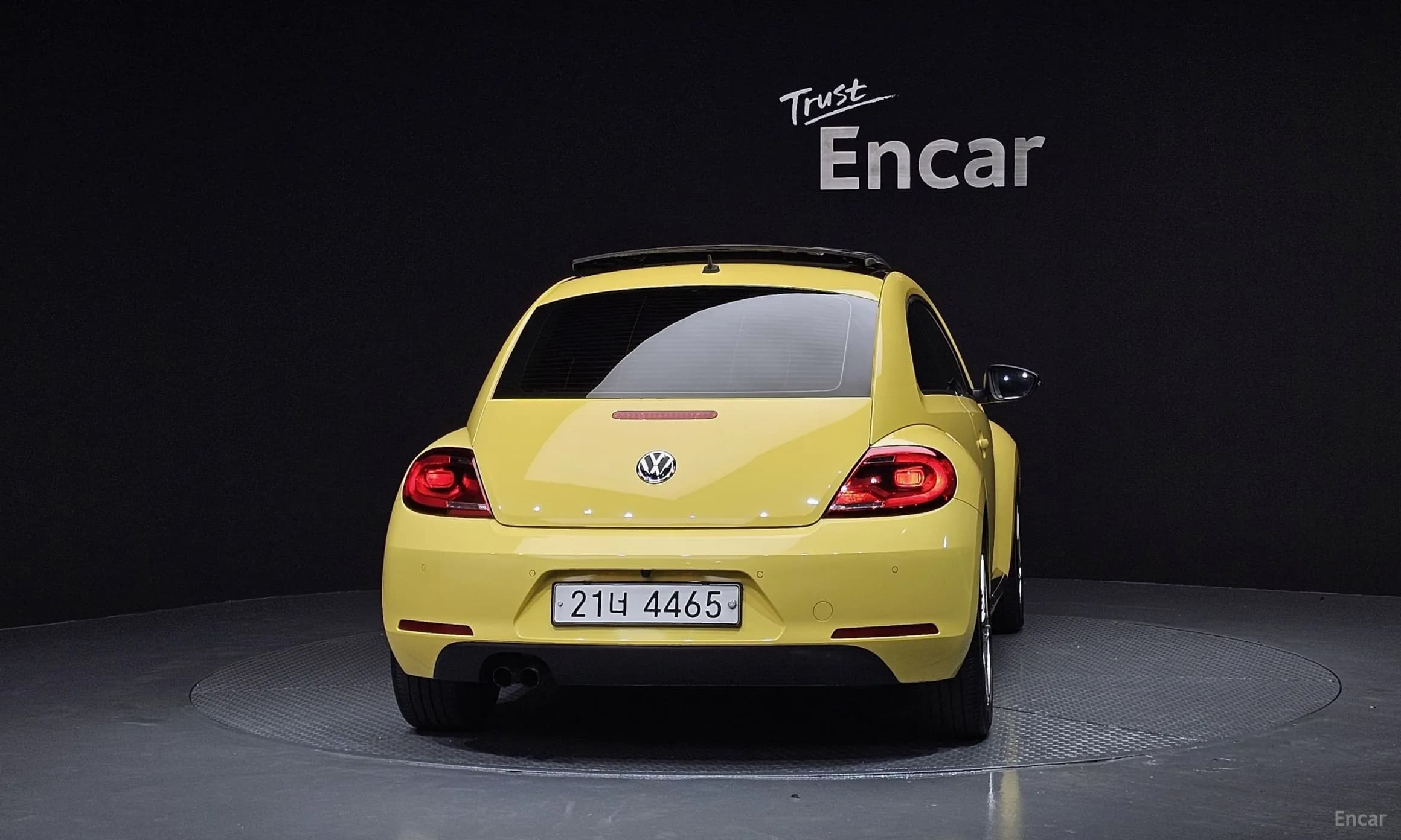 The Beetle