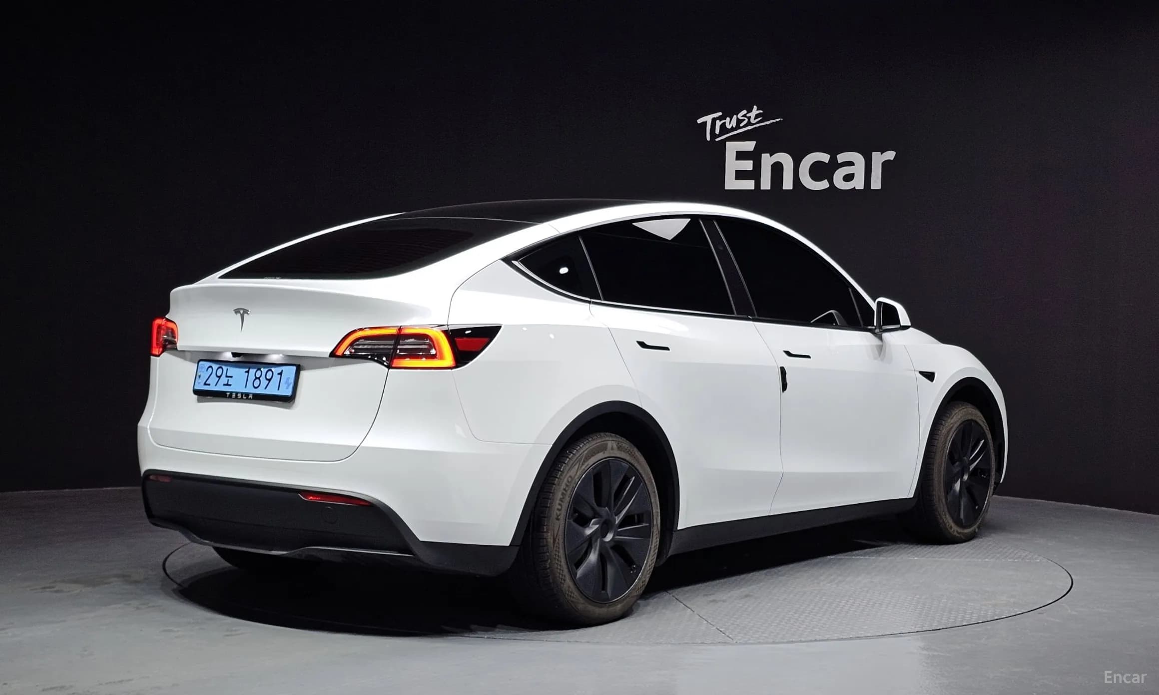 Model Y