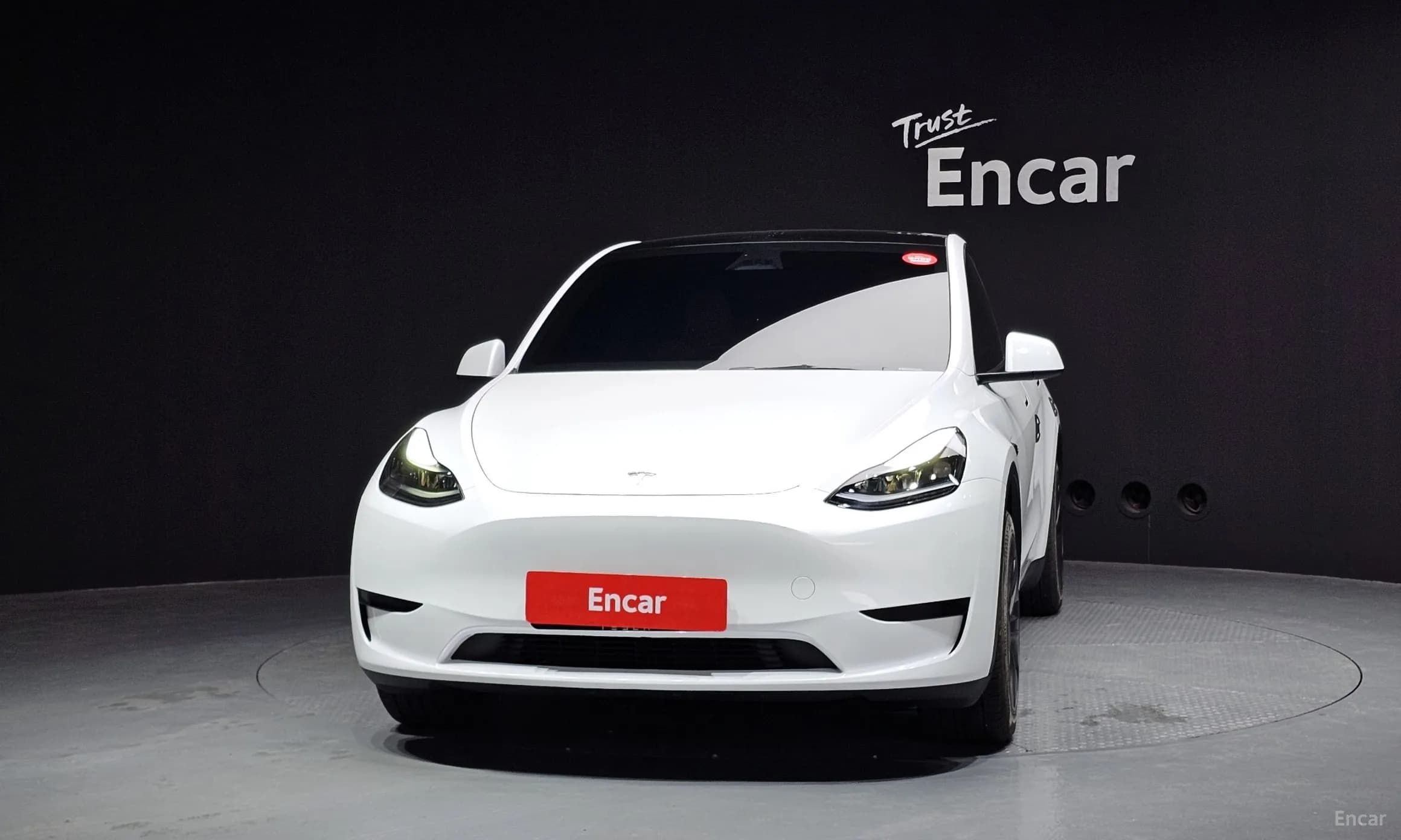 Model Y