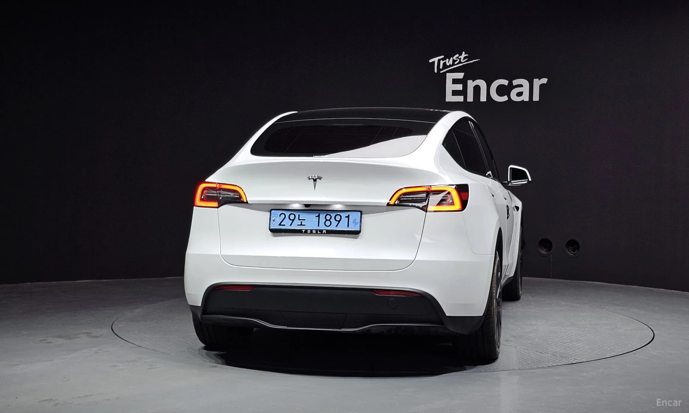 Model Y