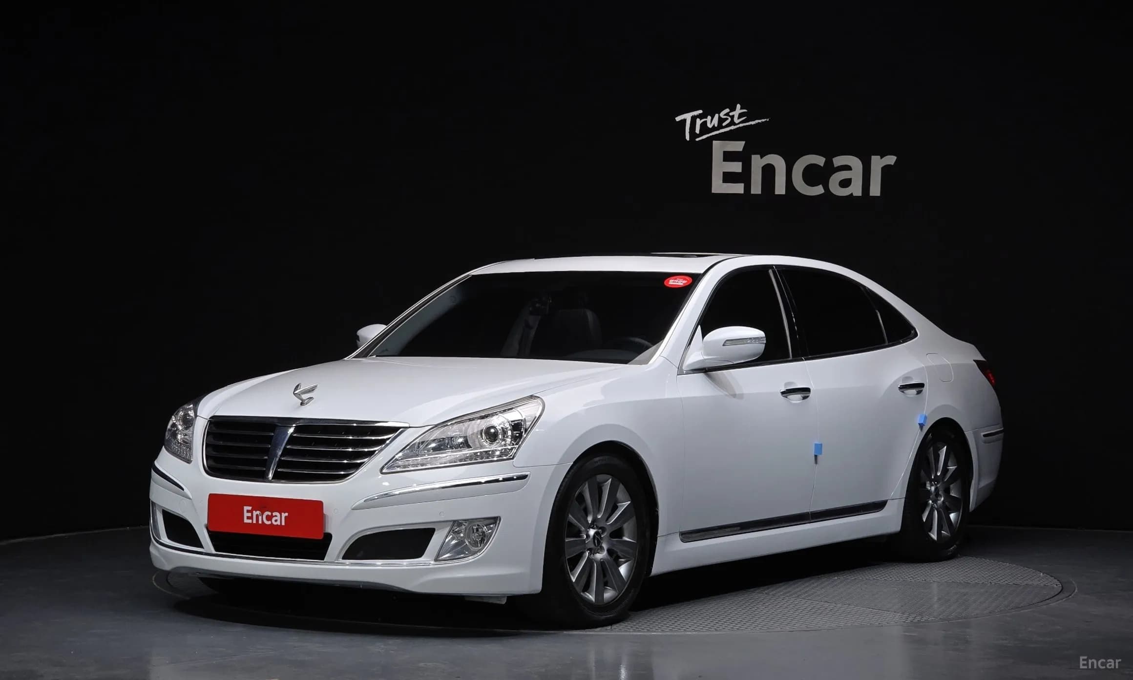 Equus (new)
