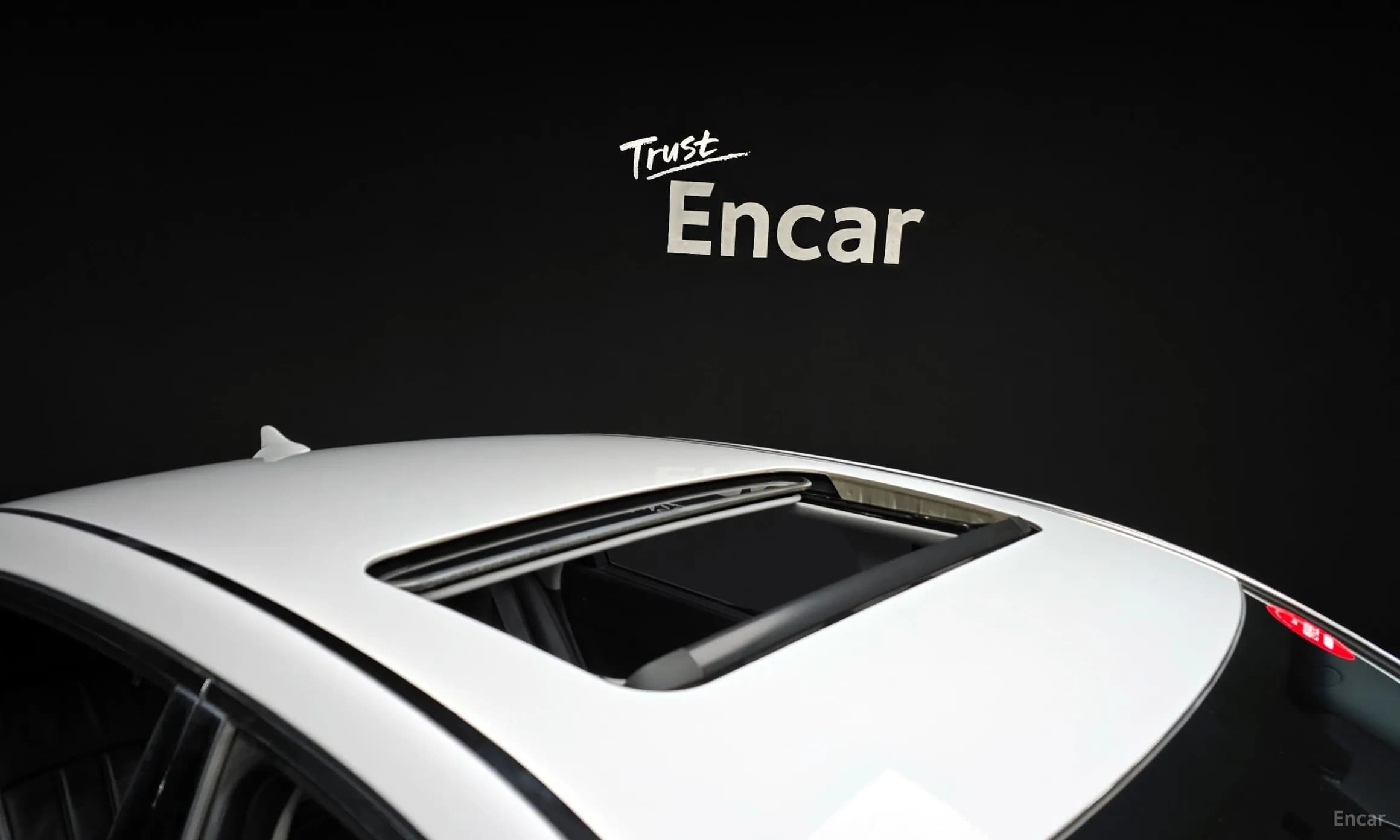 Equus (new)