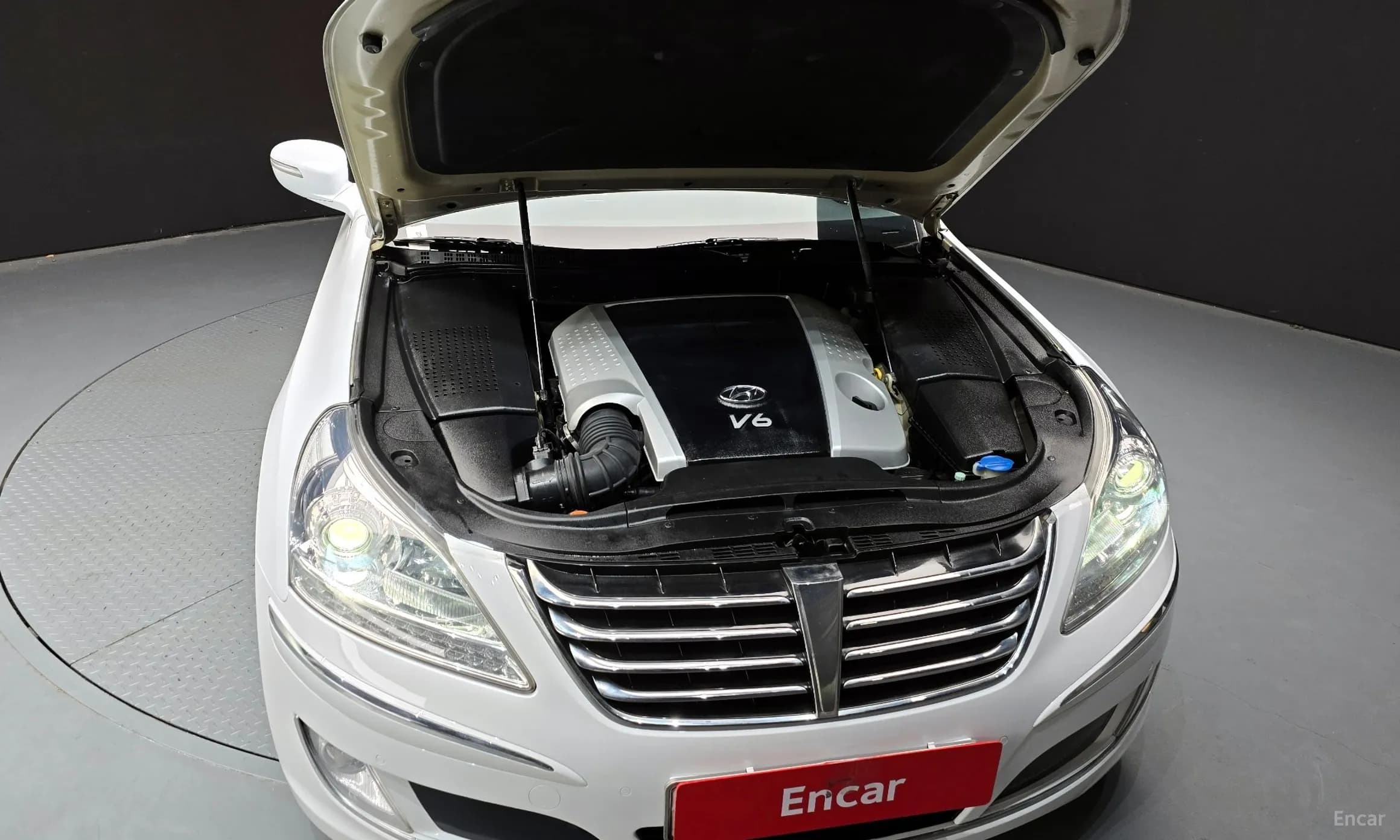 Equus (new)