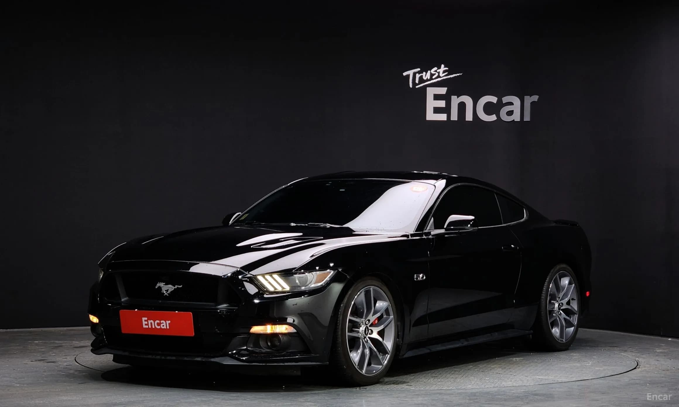 Mustang
