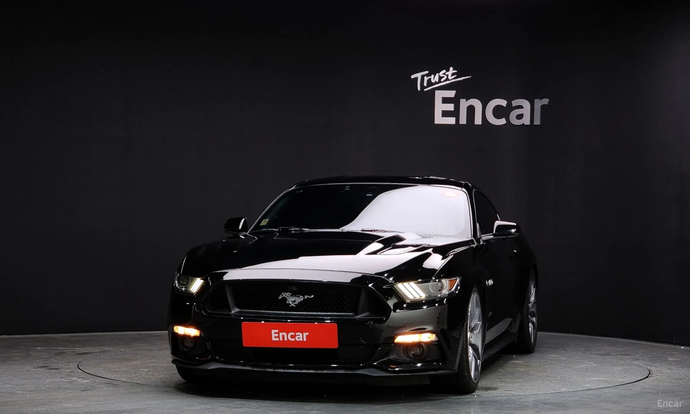 Mustang