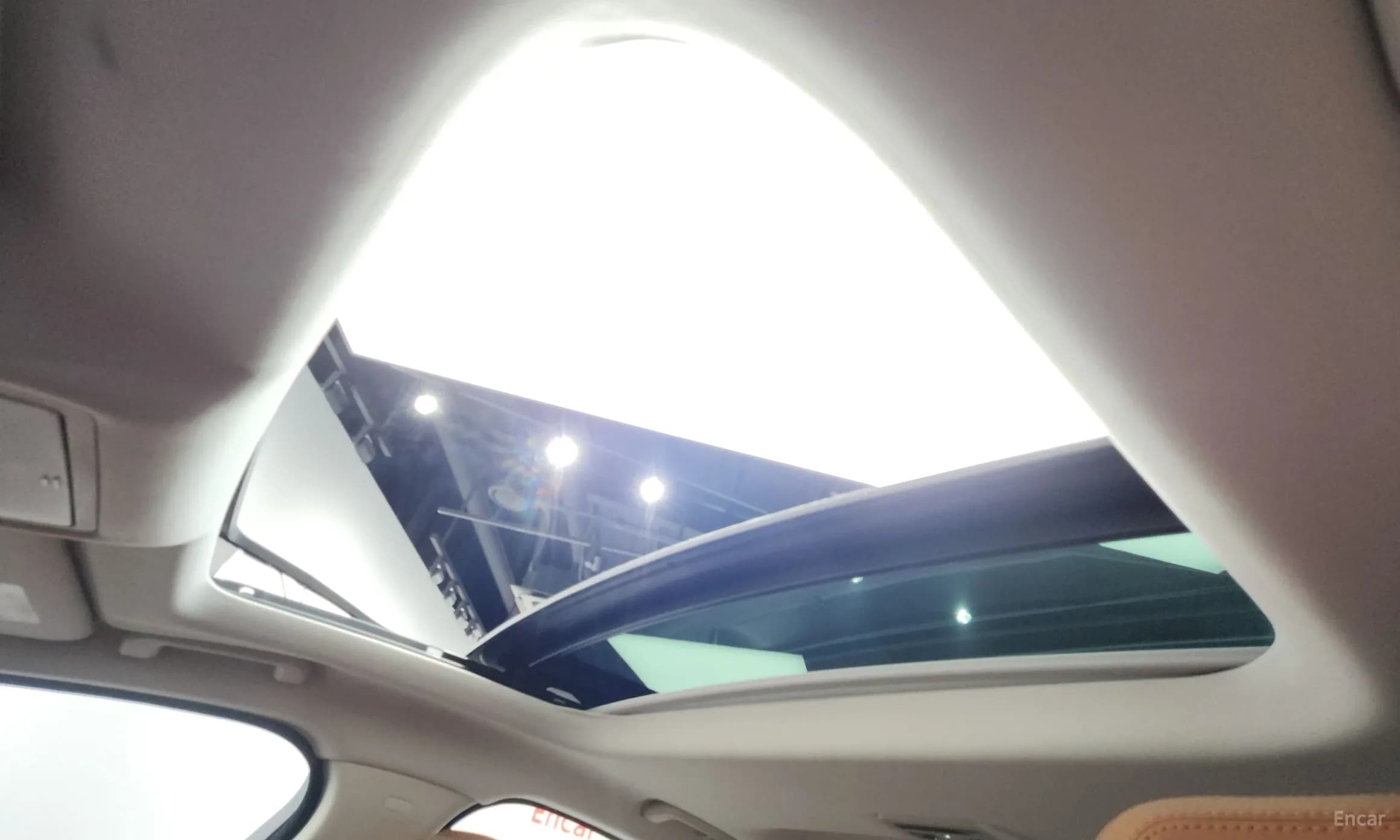 XF (x260)